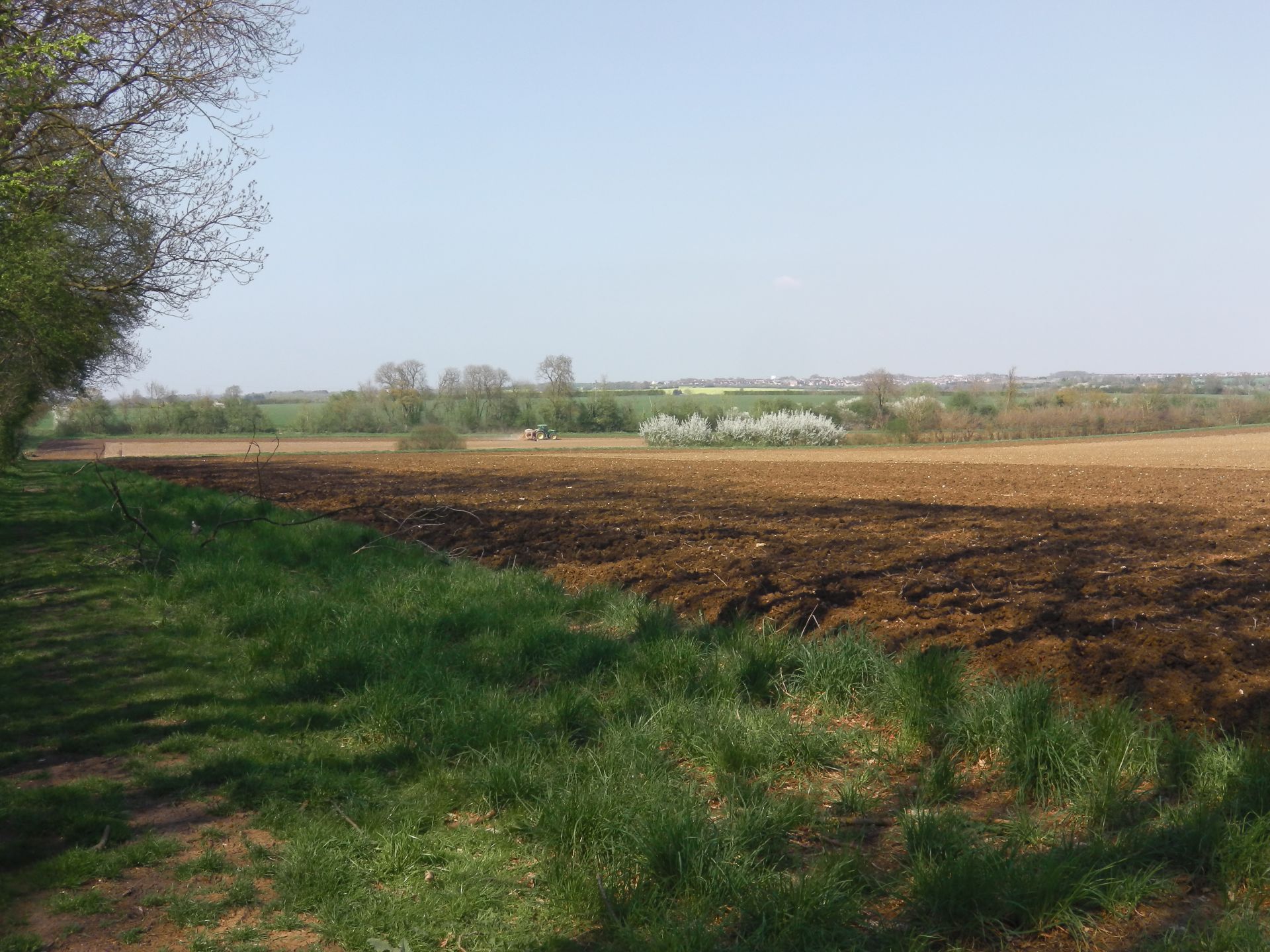 countryside near Bourn